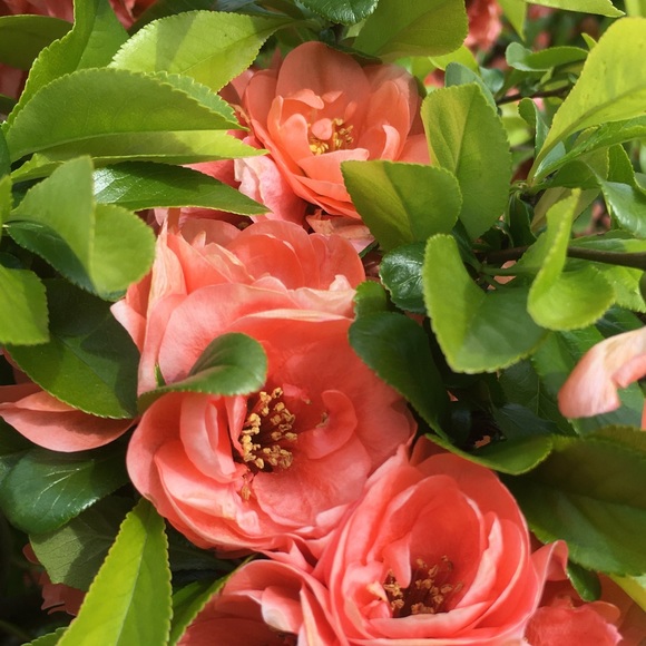 Meet your Posher, Terry - Picture 2 of 16